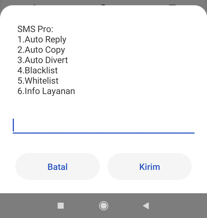 Fitur SMS Pro